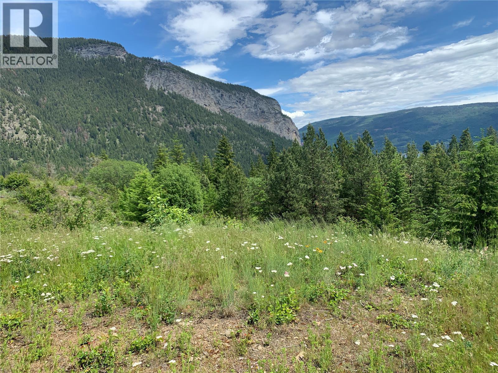 470 Sumac Road, Tappen, BC