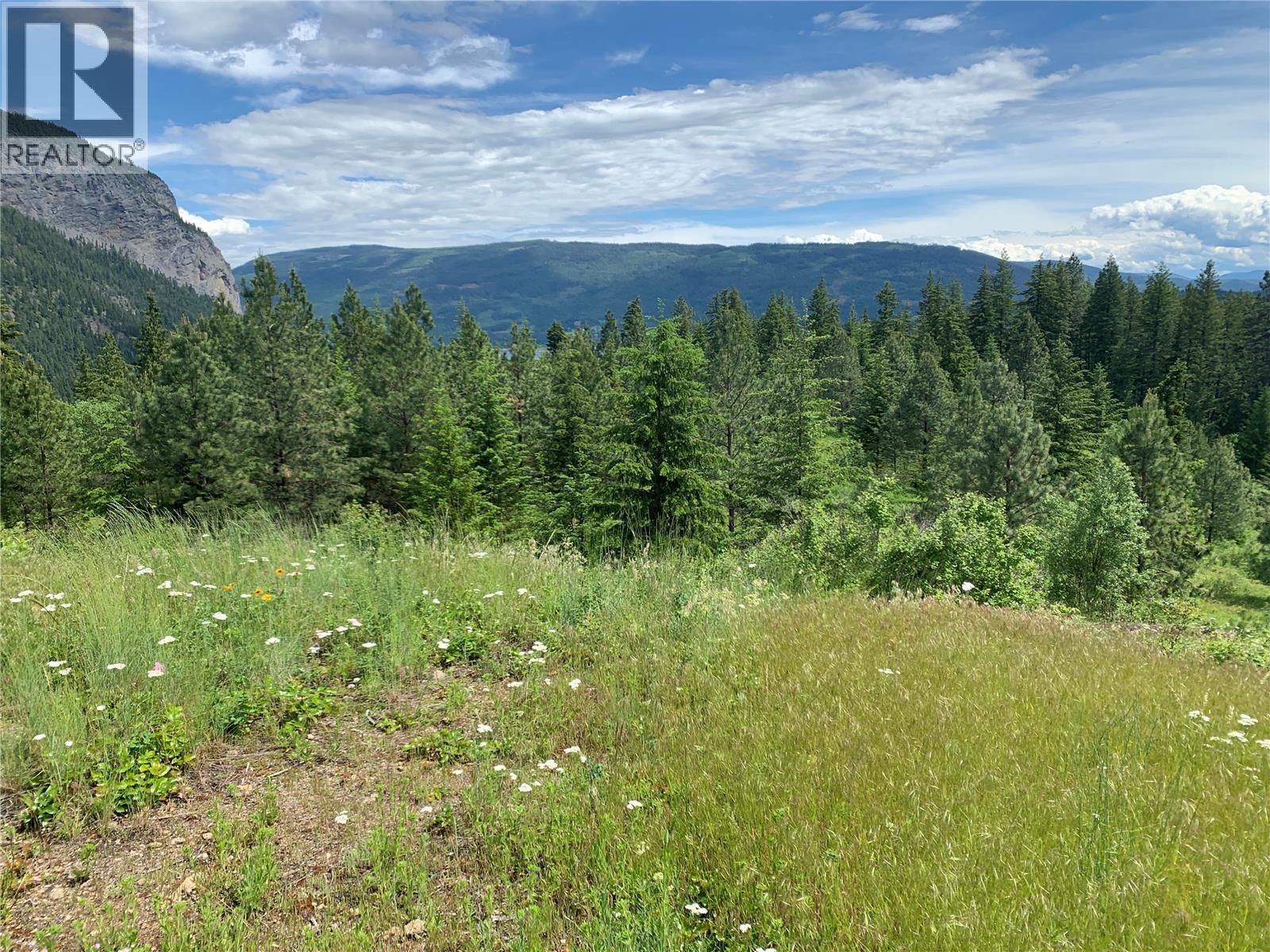 470 Sumac Road, Tappen, BC