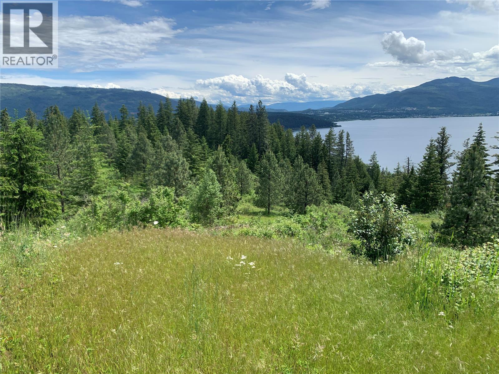 470 Sumac Road, Tappen, BC