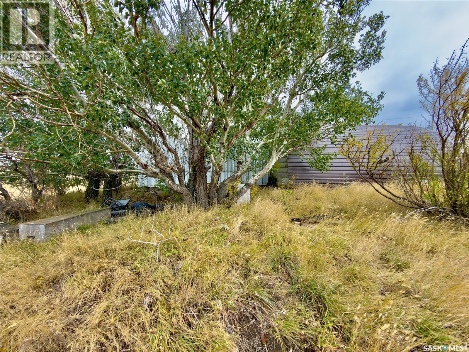 Gull Lake Acreage - Sutherland, Gull Lake Rm No. 139, SK - Outdoor