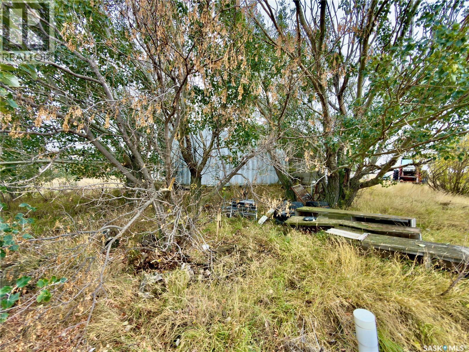 Gull Lake Acreage - Sutherland, Gull Lake Rm No. 139, SK - Outdoor