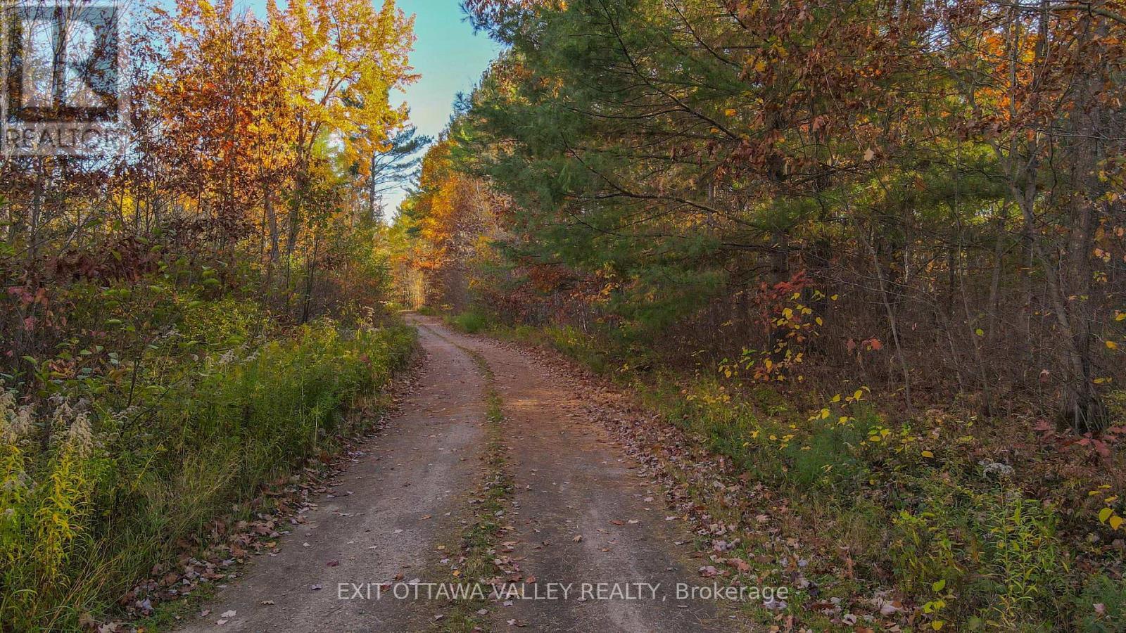 6 Grannys Lane, Killaloe, Hagarty And Richards, ON - Outdoor With View