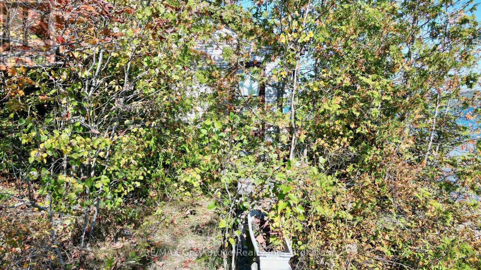 248 Isthmus Bay Road, Northern Bruce Peninsula, ON - Outdoor