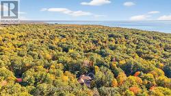 surrounded by nature -