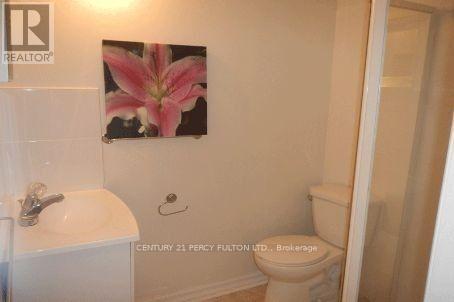 Bsmt - 65 Aldonschool Court, Ajax, ON - Indoor Photo Showing Bathroom