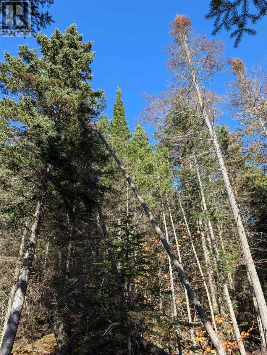 27B Long Beach Rd, Wawa, ON - Outdoor With View