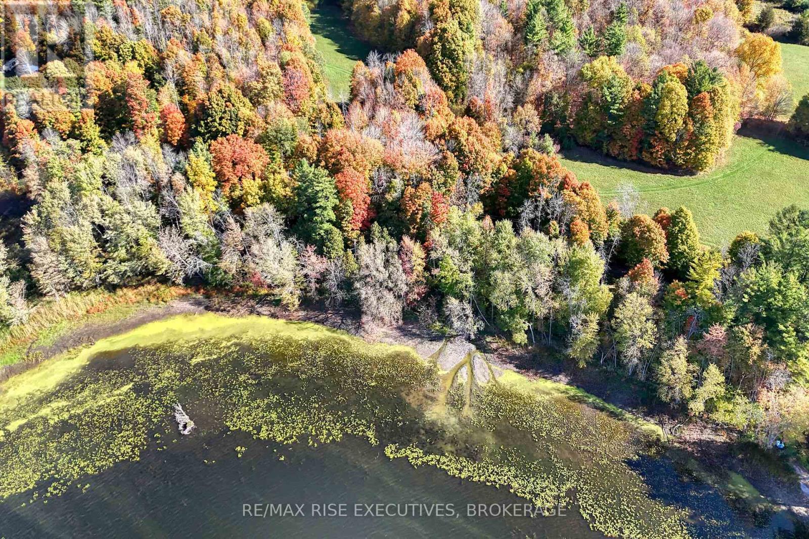 465K Lyndhurst Road, Leeds And The Thousand Islands, ON - Outdoor