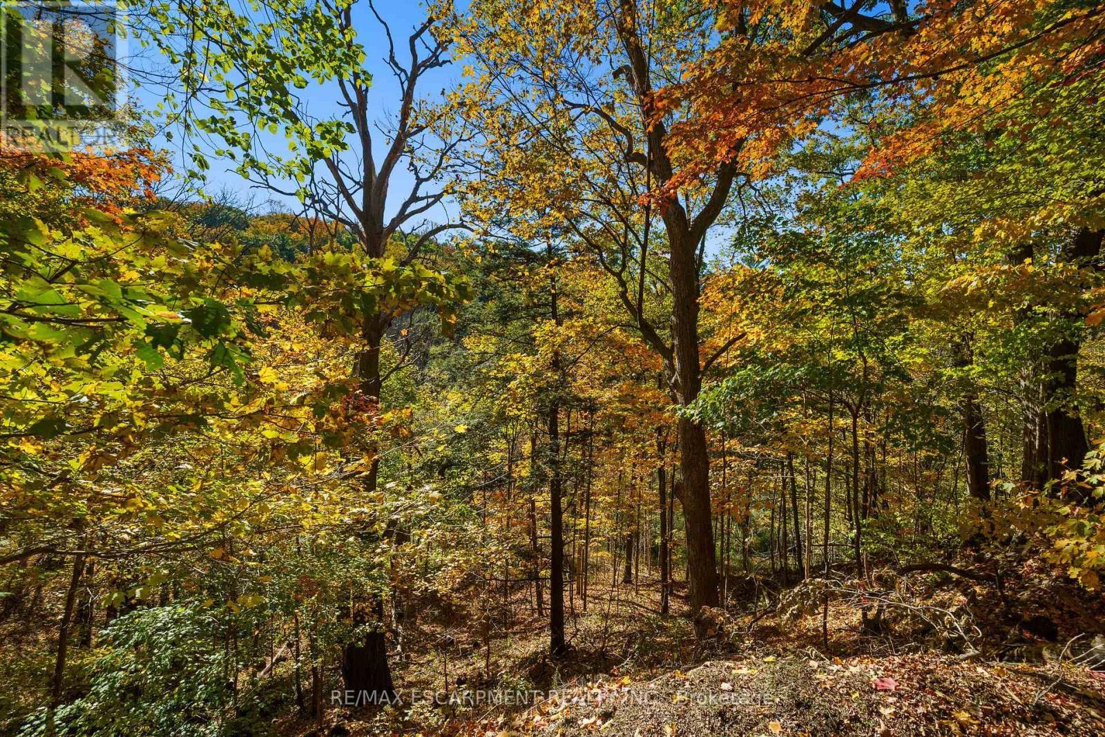 75 Terrace Drive, Hamilton, ON - Outdoor With View