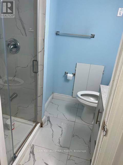 29 Herdwick Street, Brampton, ON - Indoor Photo Showing Bathroom