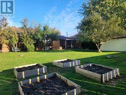 Garden Boxes For Florals Or Veggies -