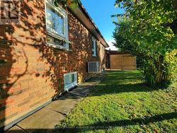 Backyard Exterior Cemented Pathway -