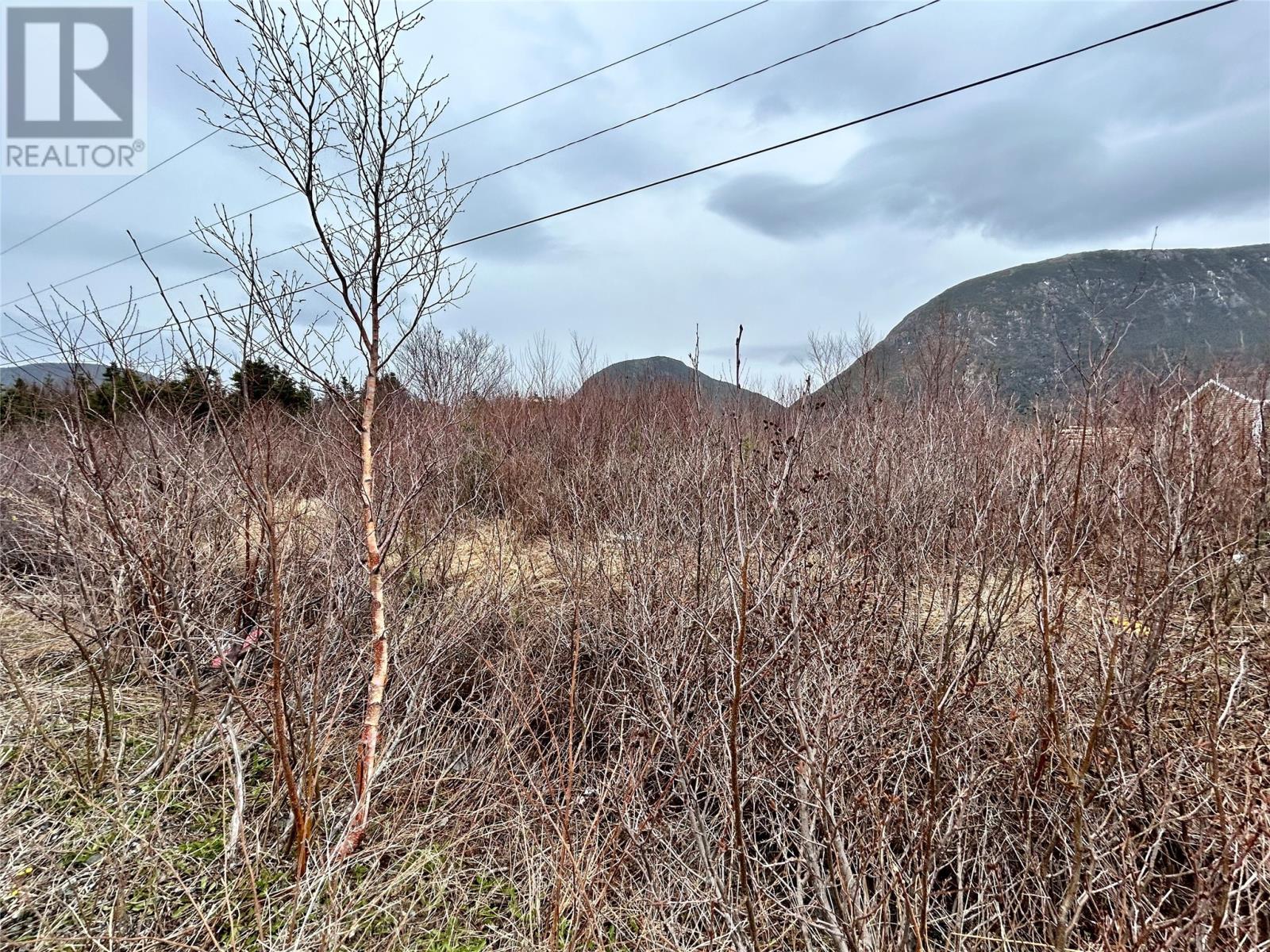 5 Harbourview Road, Lark Harbour, NL