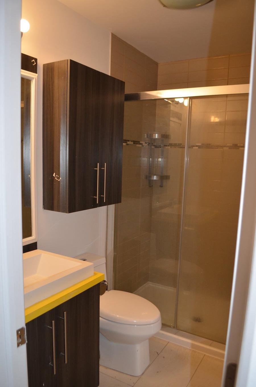 Bathroom - 302-16647 Boul. Pierrefonds, Montréal (L'Île-Bizard/Sainte-Geneviève), QC - Indoor Photo Showing Bathroom