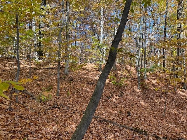 Terre/Terrain - 1 Ch. Des Lièvres, Montebello, QC