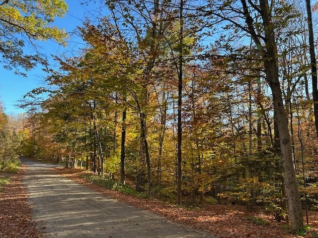 Rue - 1 Ch. Des Lièvres, Montebello, QC