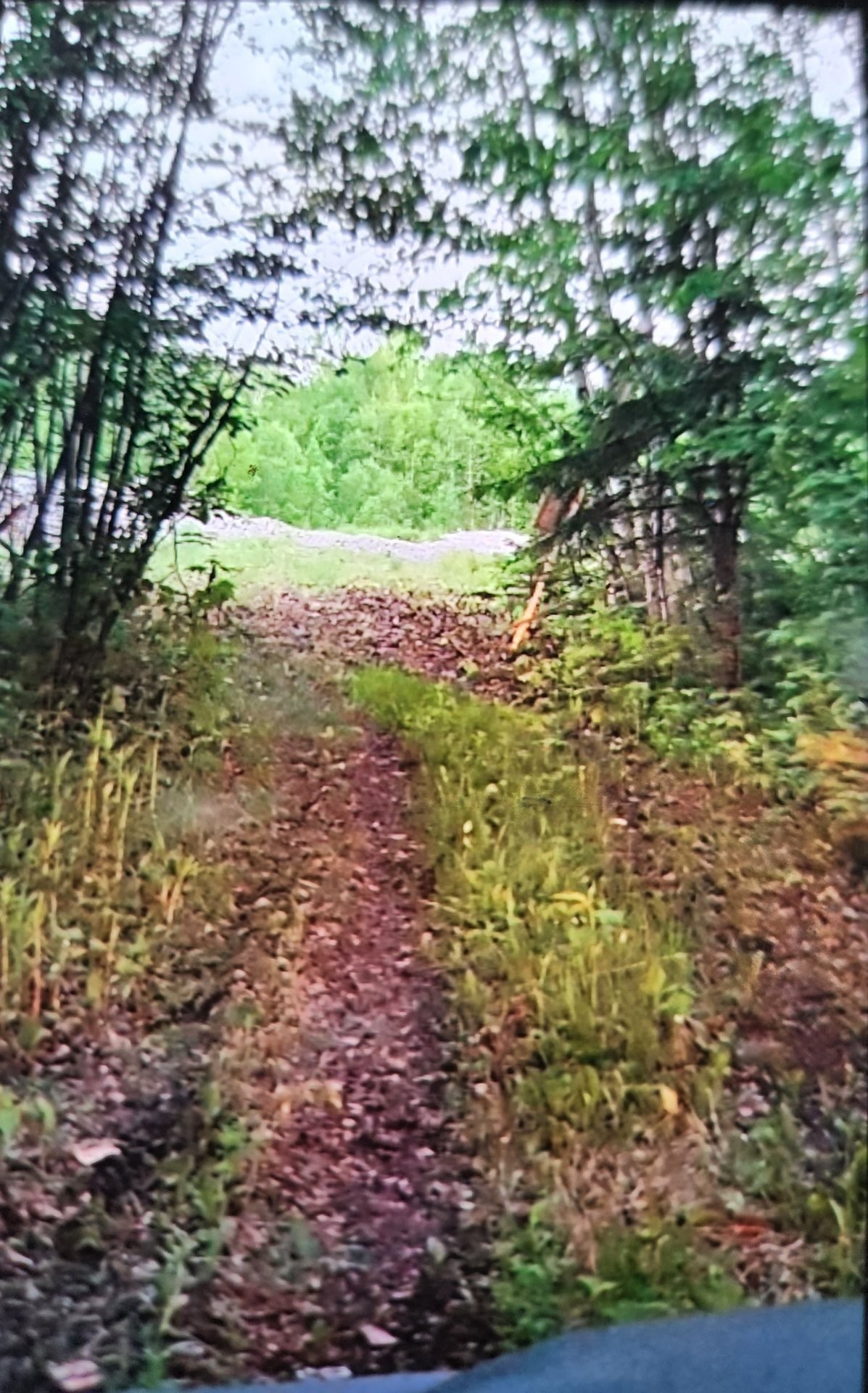 Terre/Terrain - Route 101, Saint-Édouard-De-Fabre, QC