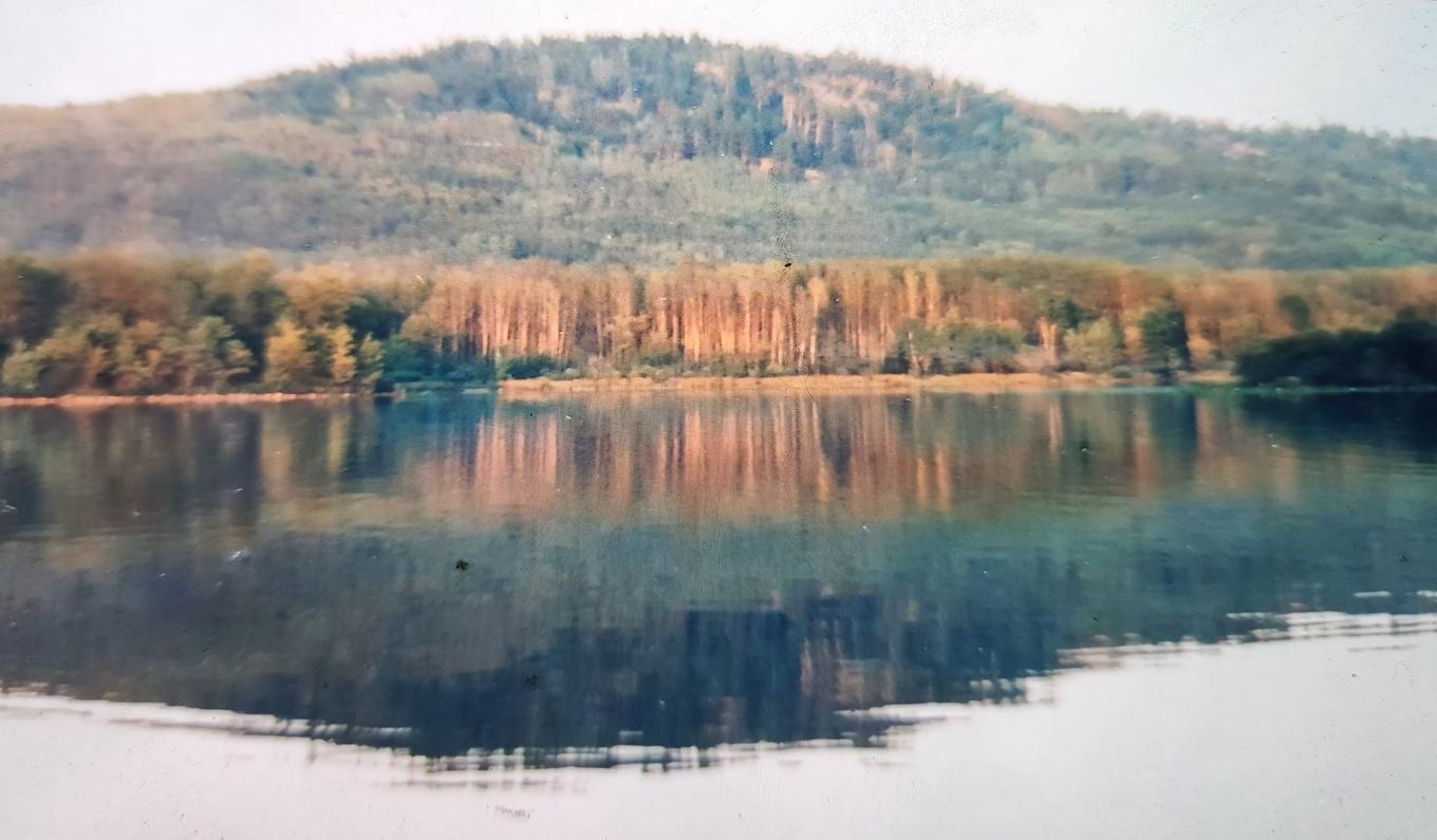 Terre/Terrain - Route 101, Saint-Édouard-De-Fabre, QC