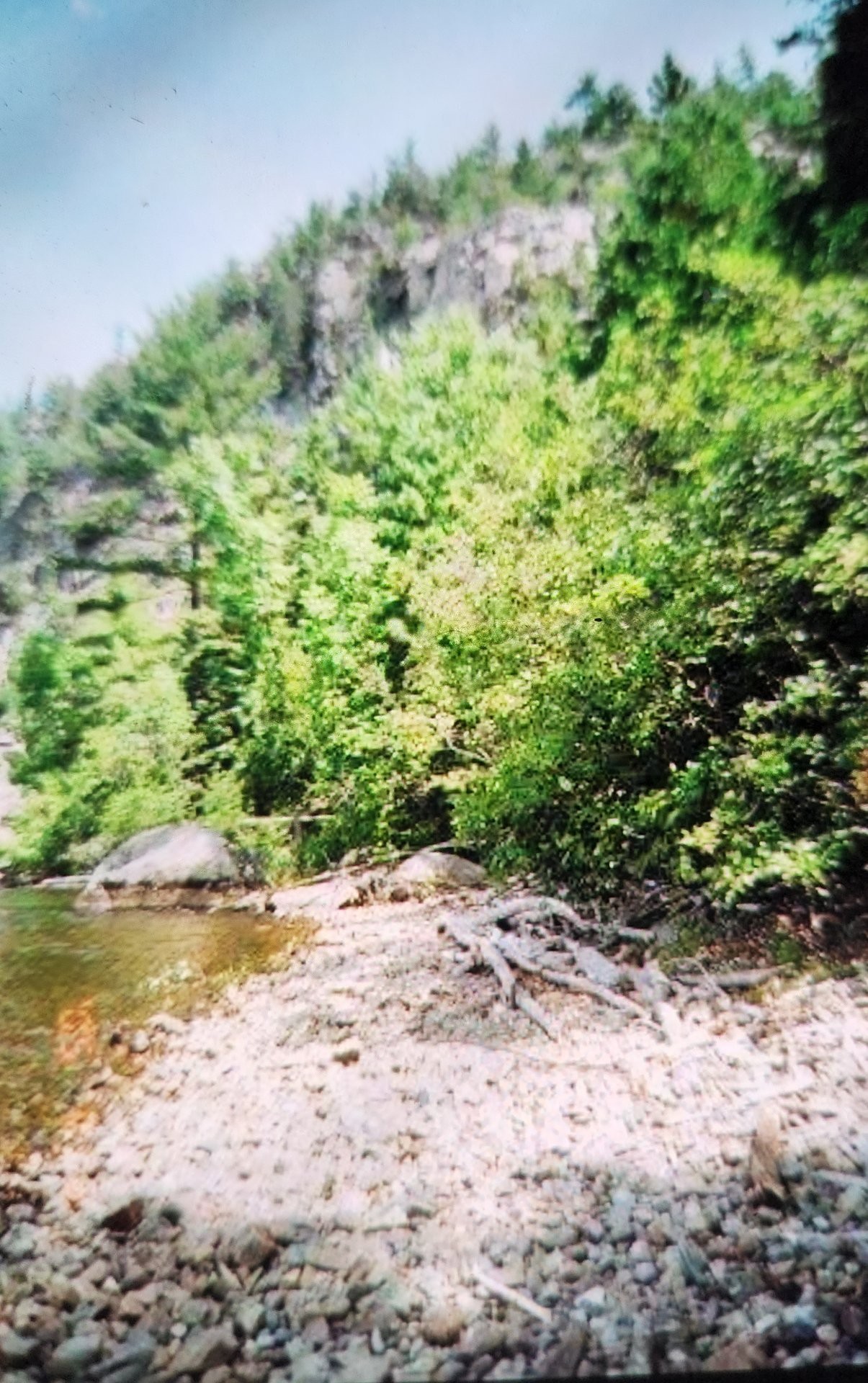 Terre/Terrain - Route 101, Saint-Édouard-De-Fabre, QC
