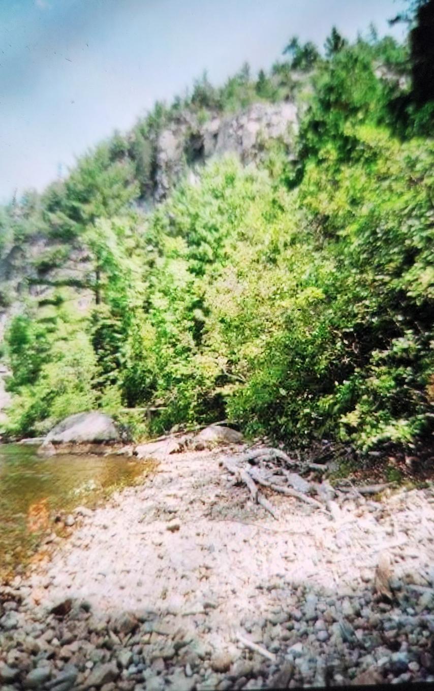 Terre/Terrain - Route 101, Saint-Édouard-De-Fabre, QC