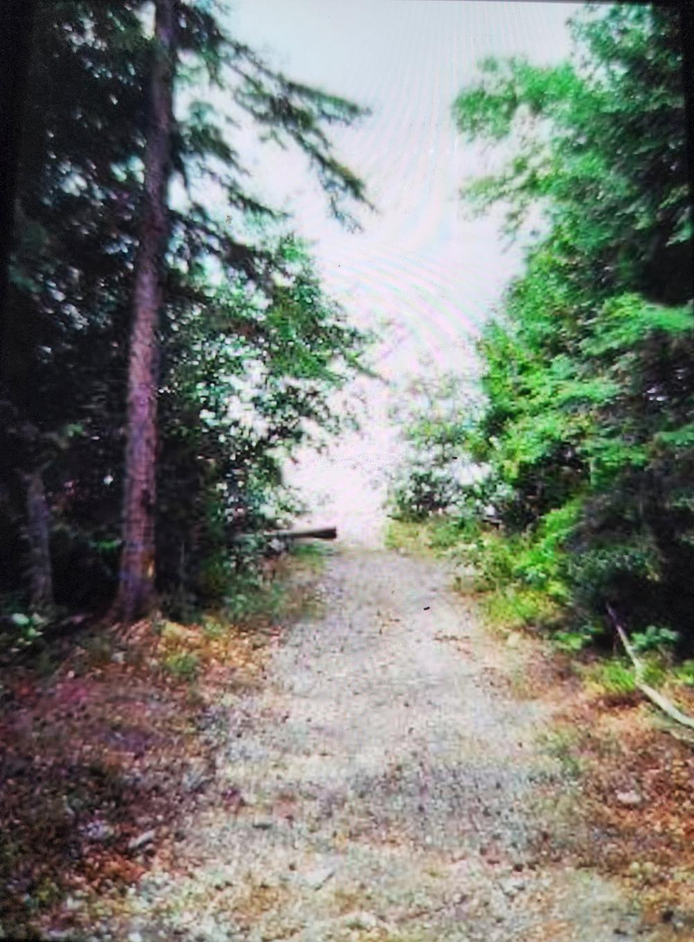 Terre/Terrain - Route 101, Saint-Édouard-De-Fabre, QC