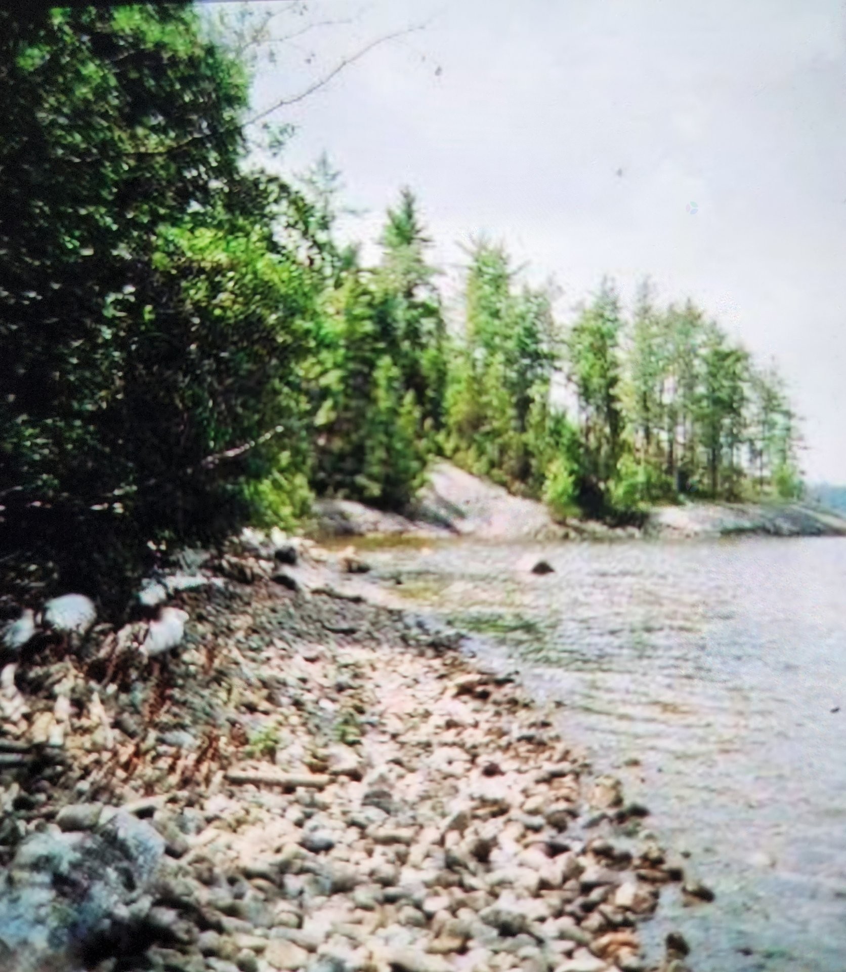 Terre/Terrain - Route 101, Saint-Édouard-De-Fabre, QC