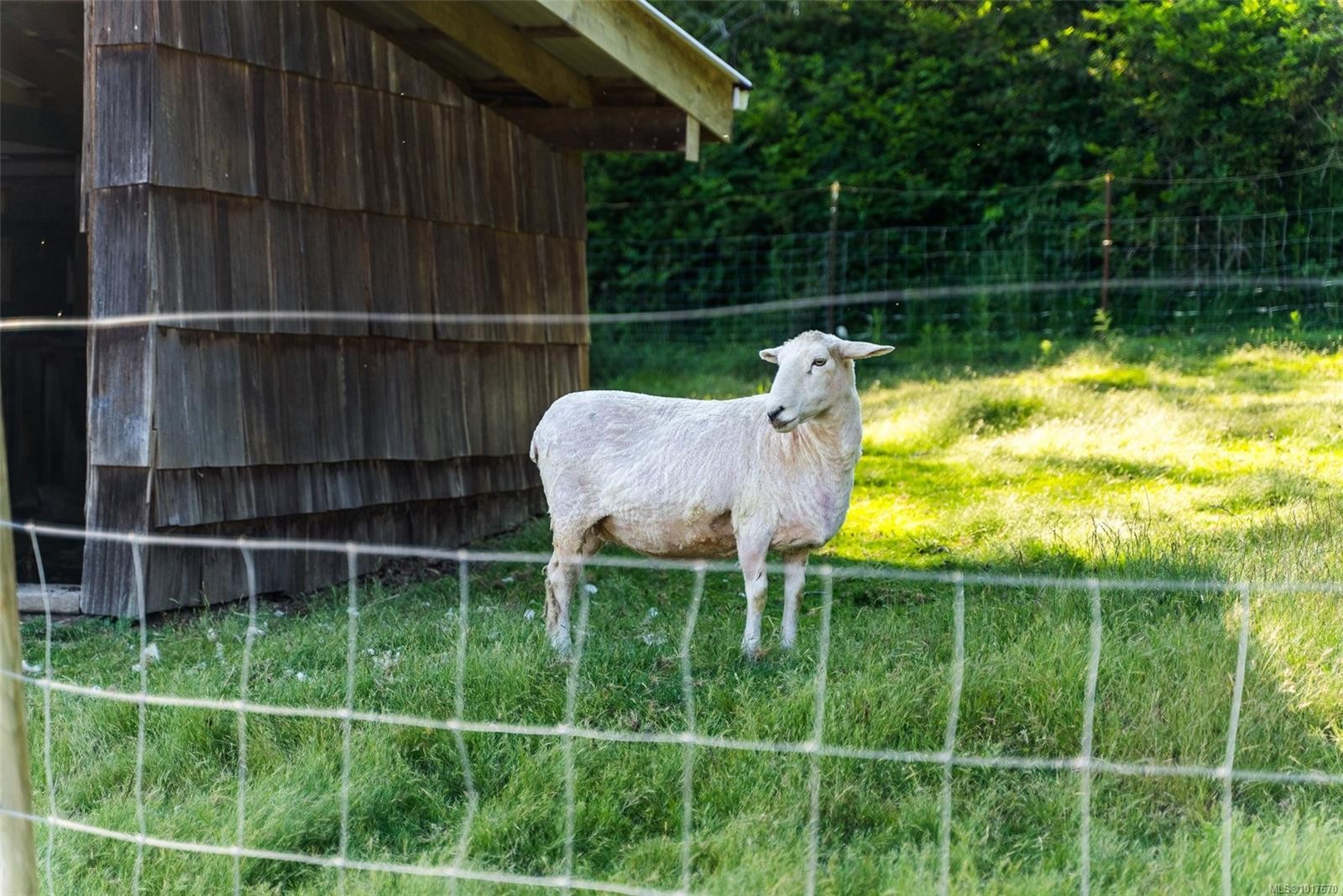 8750 West Coast Rd, Sooke, BC