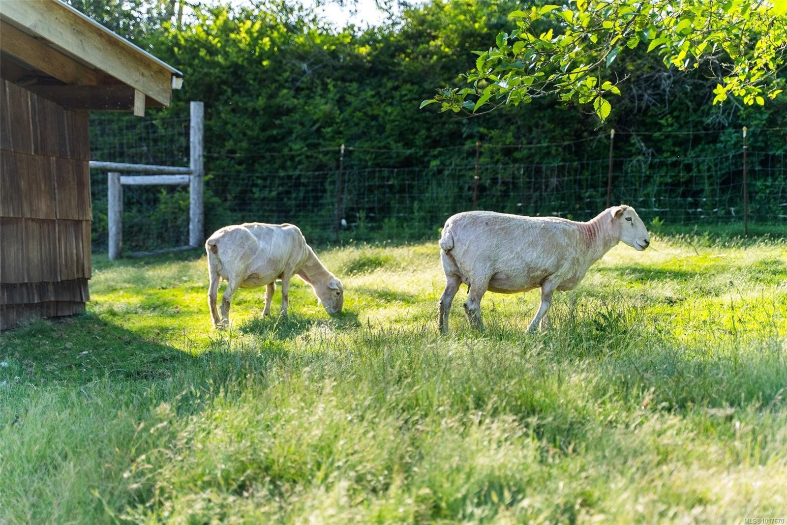 8750 West Coast Rd, Sooke, BC