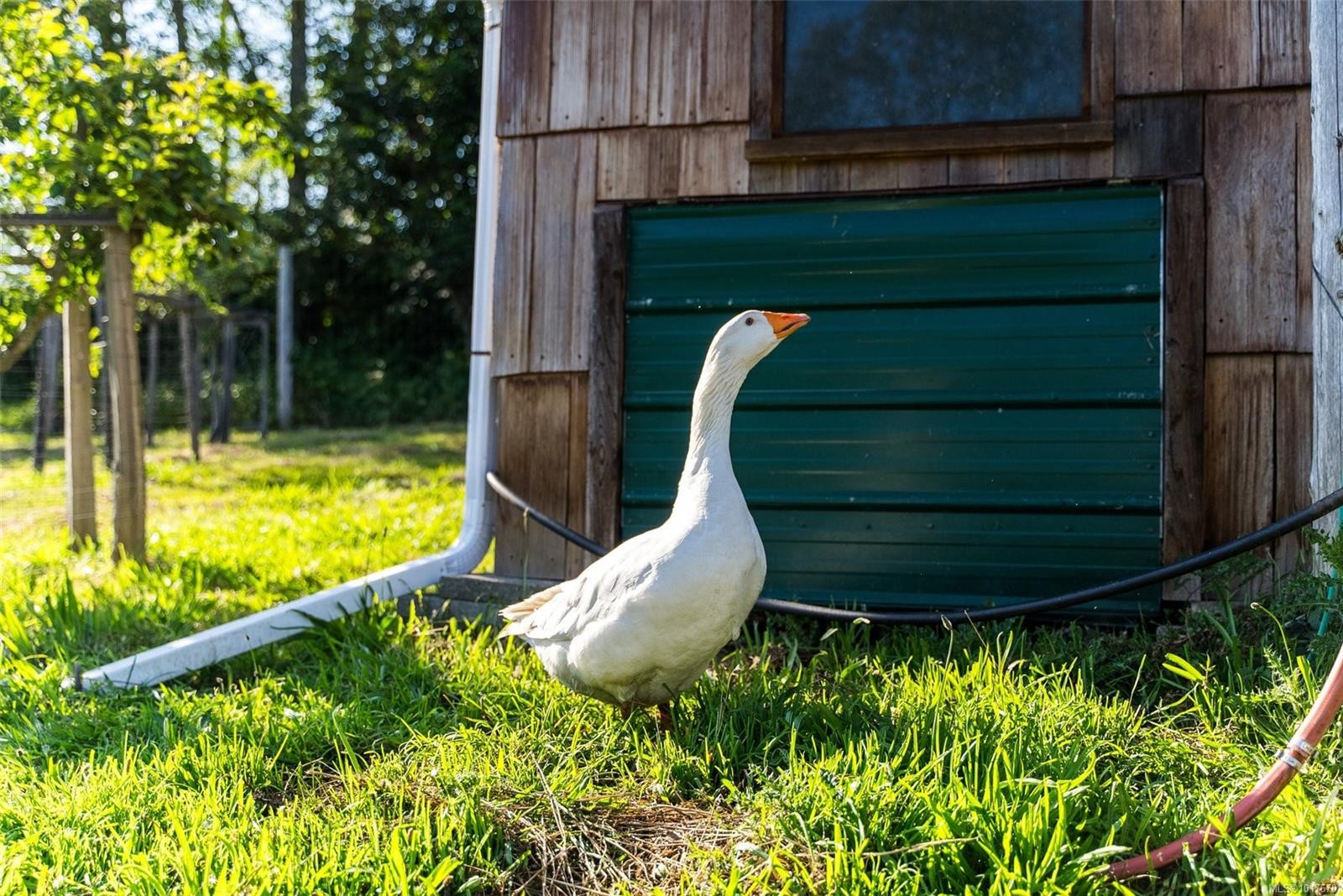 8750 West Coast Rd, Sooke, BC