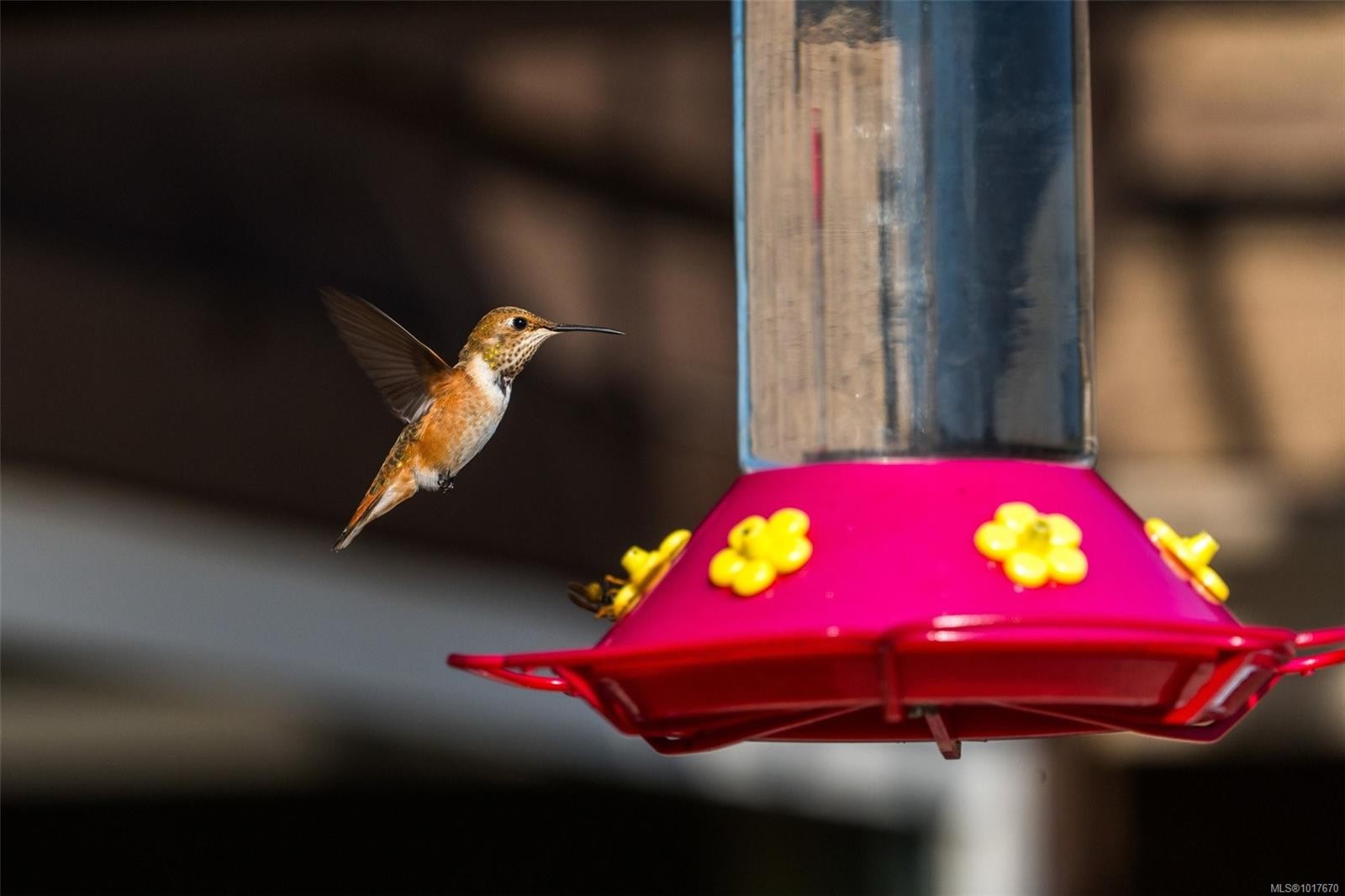 8750 West Coast Rd, Sooke, BC