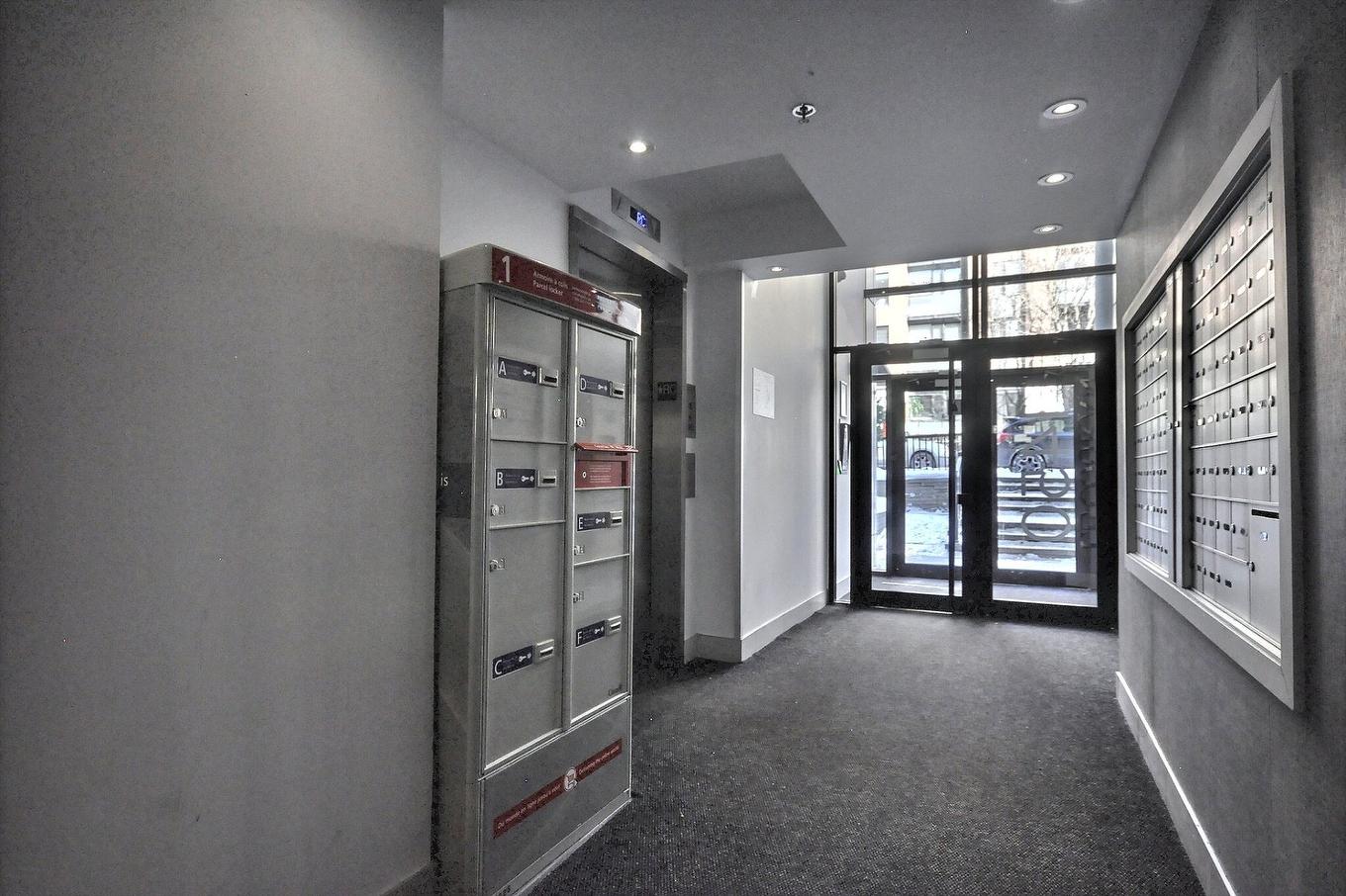 Hall - 512-1450 Rue Parthenais, Montréal (Ville-Marie), QC - Indoor Photo Showing Other Room