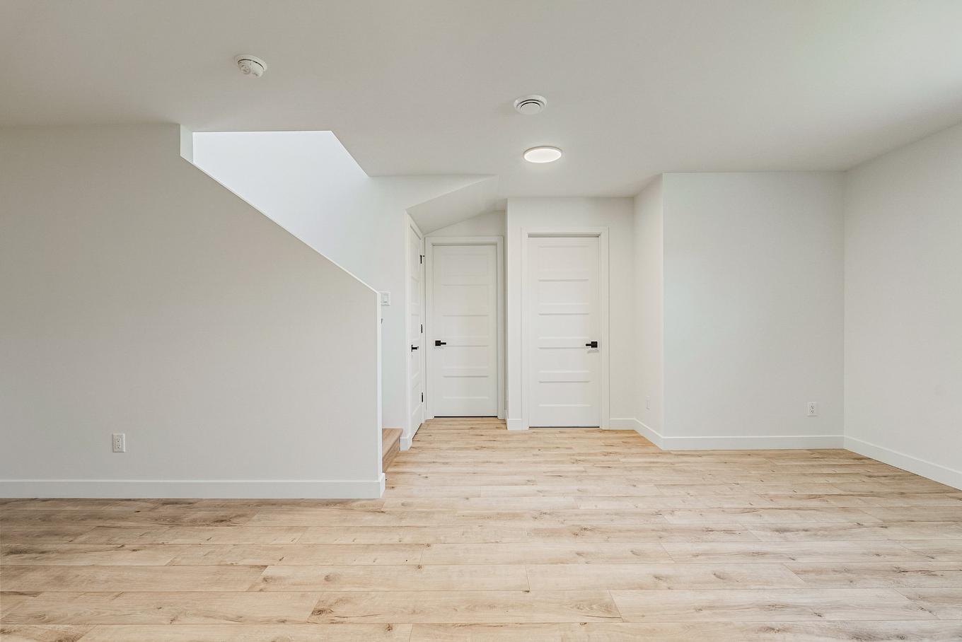 Basement - Rue Siméon-Drolet, Québec (Les Rivières), QC