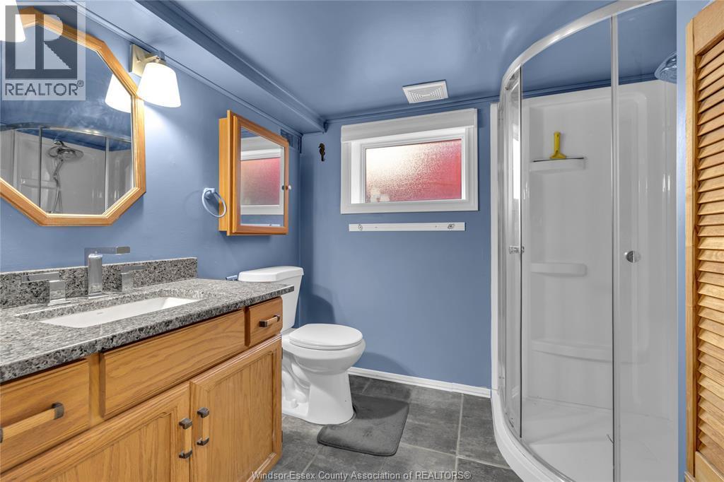 914 Thompson Boulevard, Windsor, ON - Indoor Photo Showing Bathroom