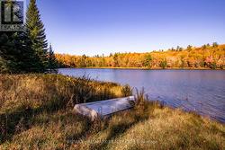 3517 HALIBURTON LAKE ROAD Dysart Et Al, ON K0M 1S0