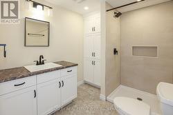 New basement bathroom -