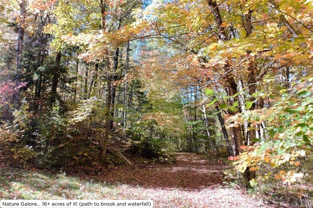 7415 Route 101, Wirral, NB