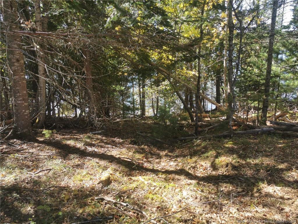 32 Moran Lane, Dufferin, NB