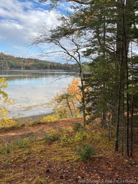 60 Moody Lane, Oak Haven, NB