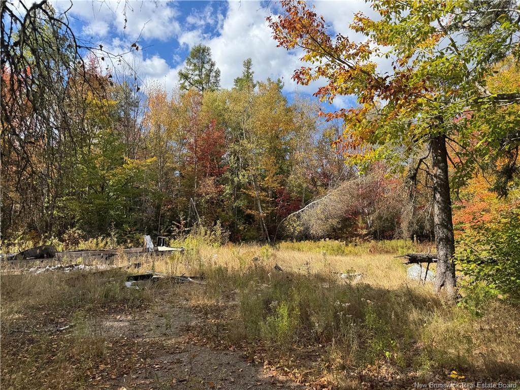 60 Bettsburg Rd, New Bandon, NB