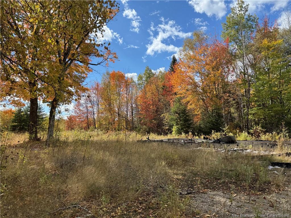 60 Bettsburg Rd, New Bandon, NB