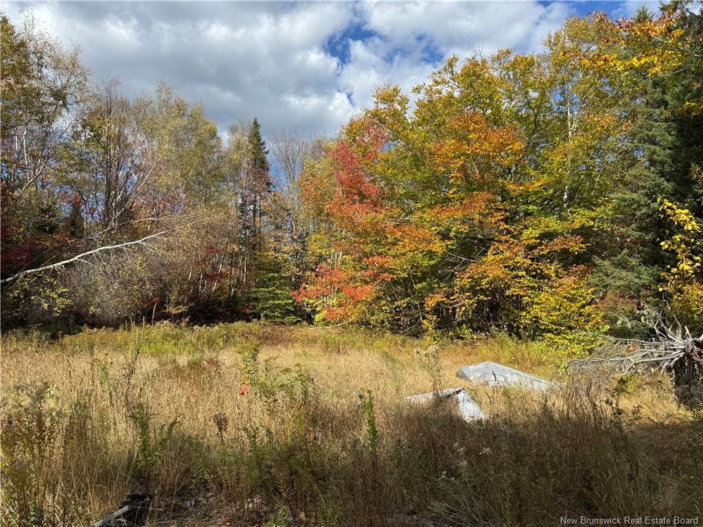 60 Bettsburg Rd, New Bandon, NB