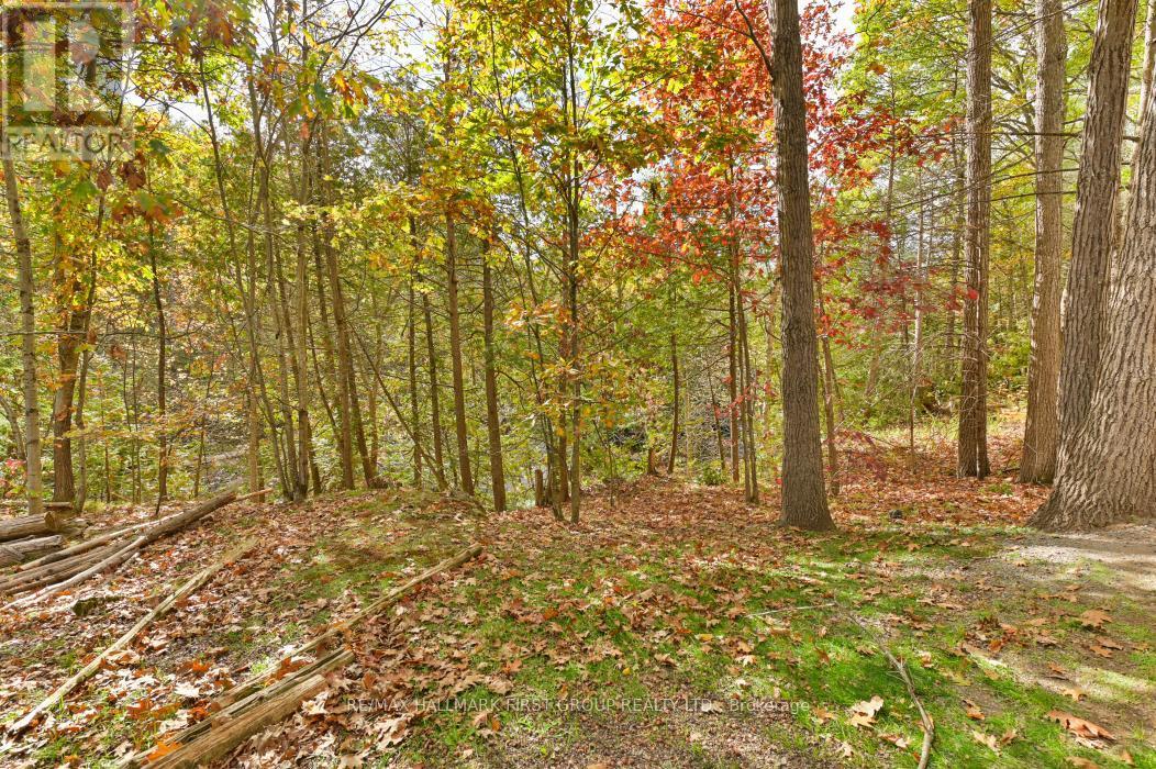 Lovely Treed Property - 74 Cottage Lane, Tweed (Elzevir (Twp)), ON - Outdoor