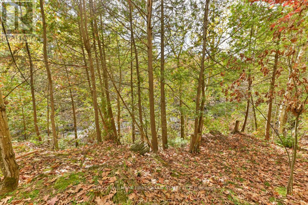 View of Water Below - 74 Cottage Lane, Tweed (Elzevir (Twp)), ON - Outdoor