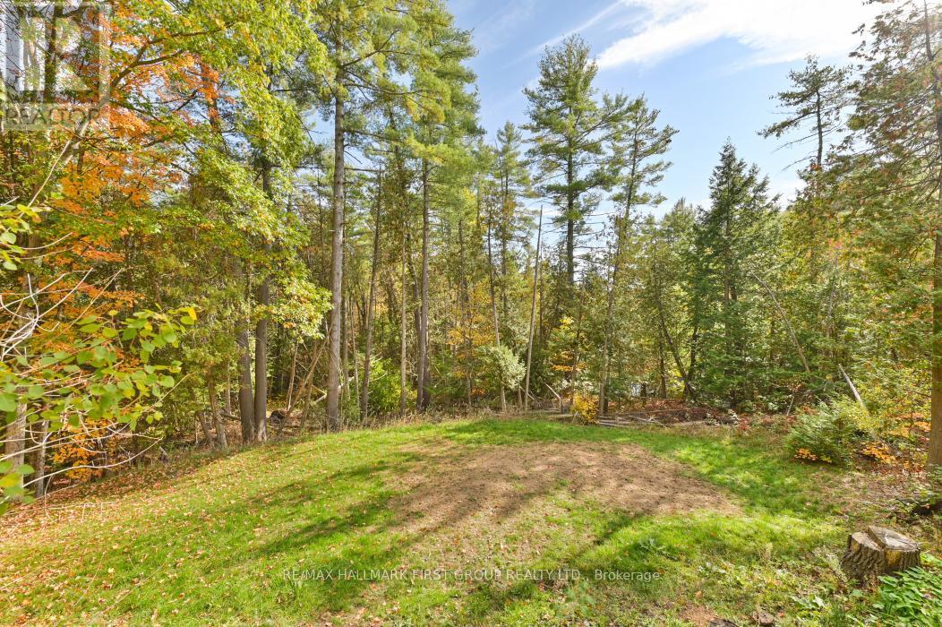 Side yard - 74 Cottage Lane, Tweed (Elzevir (Twp)), ON - Outdoor