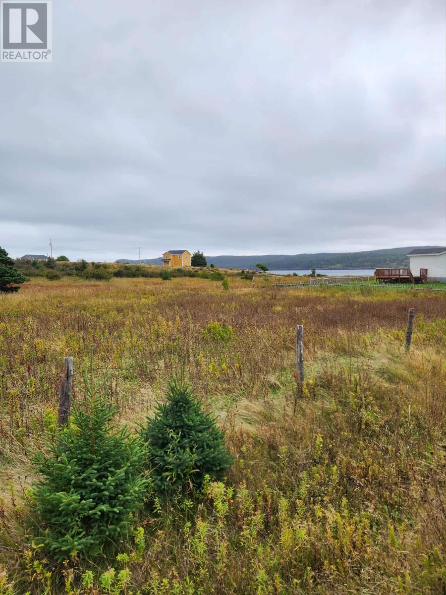 0 New Line, Renews, NL