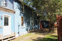 Driveway and side yard -