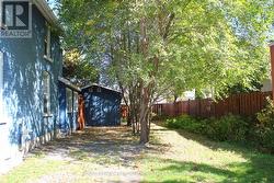 Driveway and side yard -