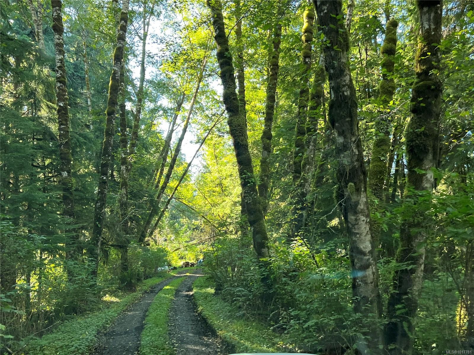 0 Rupert Inlet, Port Alice, BC