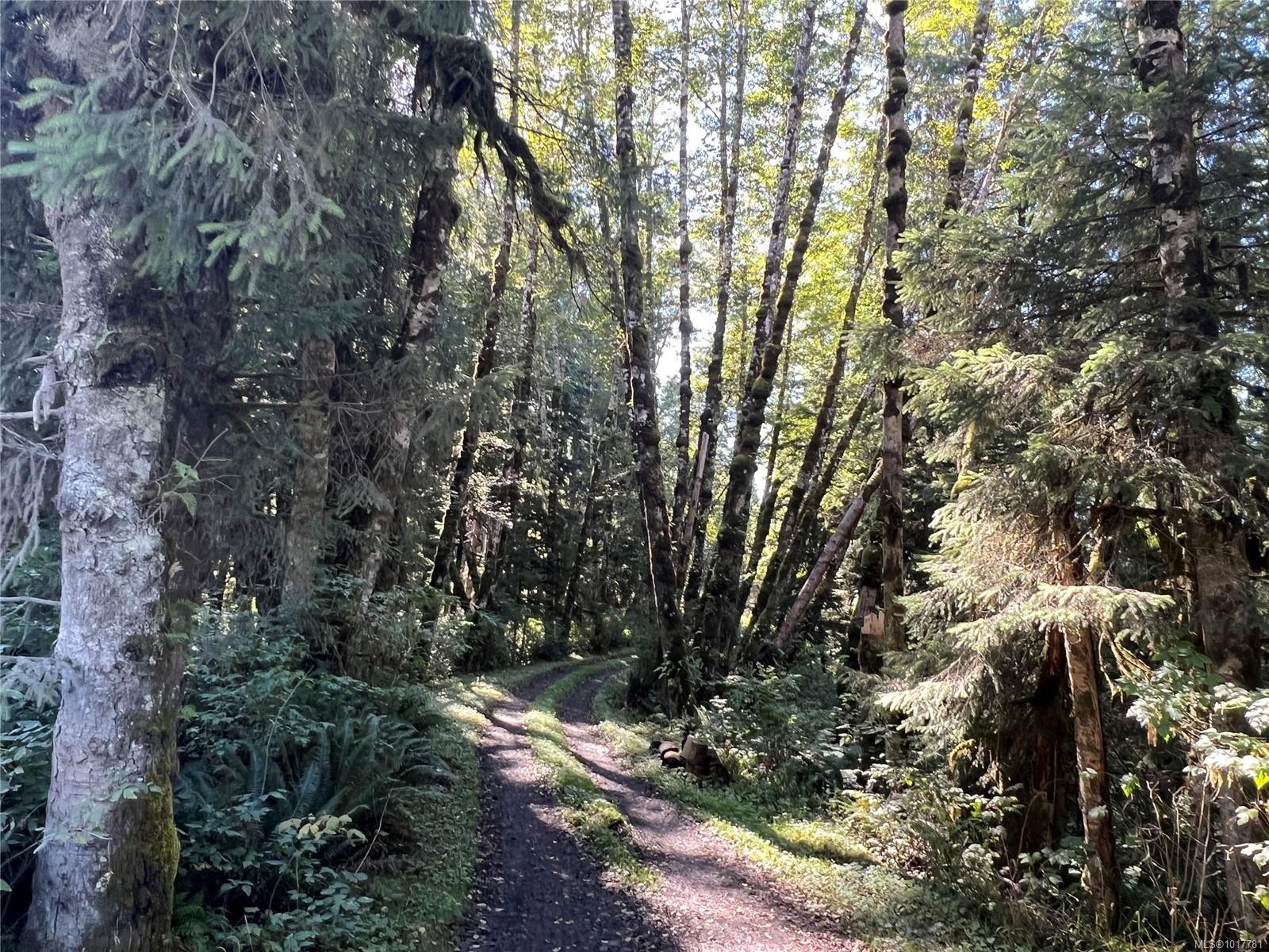 0 Rupert Inlet, Port Alice, BC