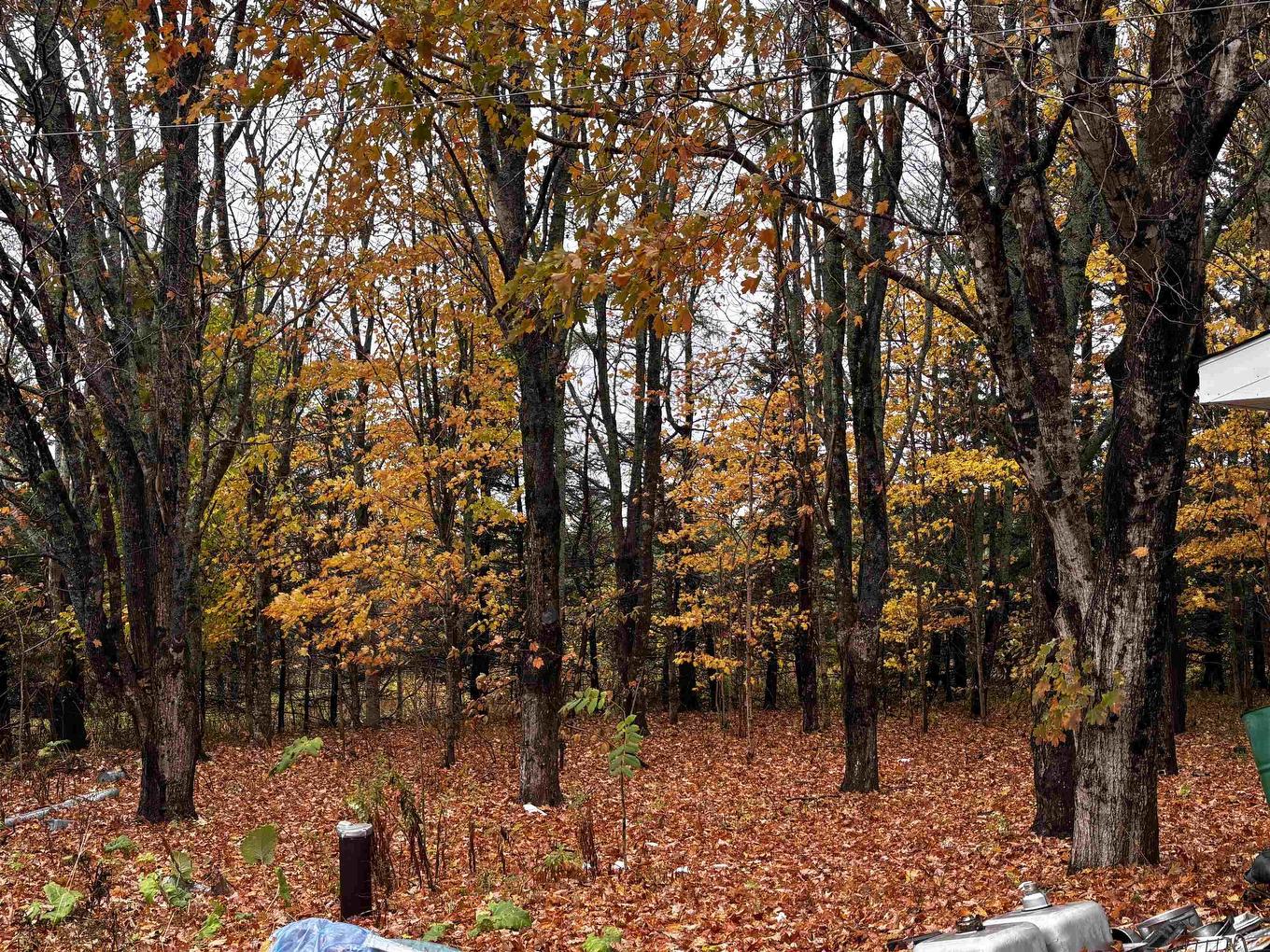 149 Long Beach Road, West Glenmont, NS