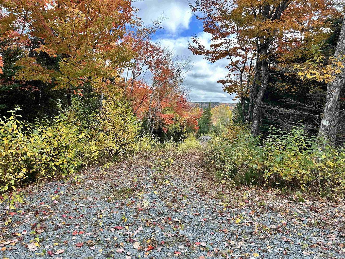 Lot 58 Riverside Drive, Goldenville, NS
